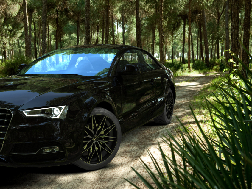 PXE|Black Matt Polished (BMP) 19