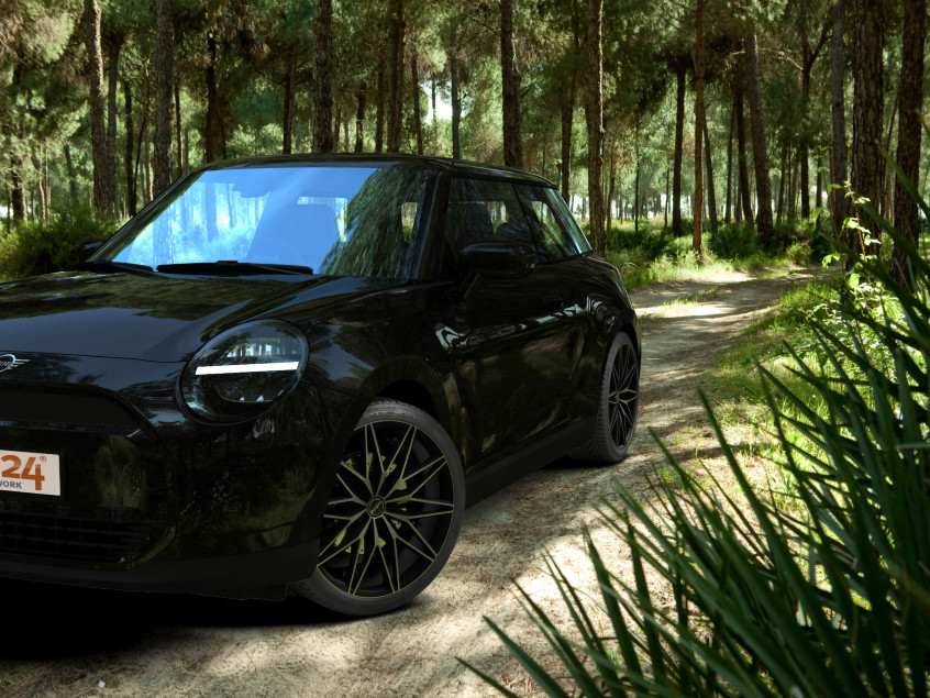 PXE|Black Matt Polished (BMP) 19