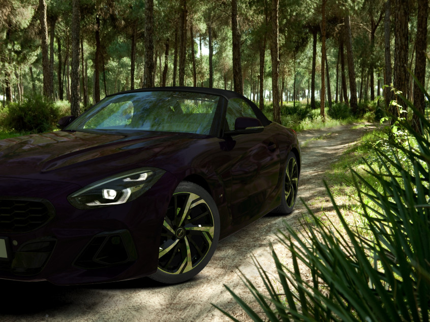 RIXON (RX)|Schwarz Poliert 19