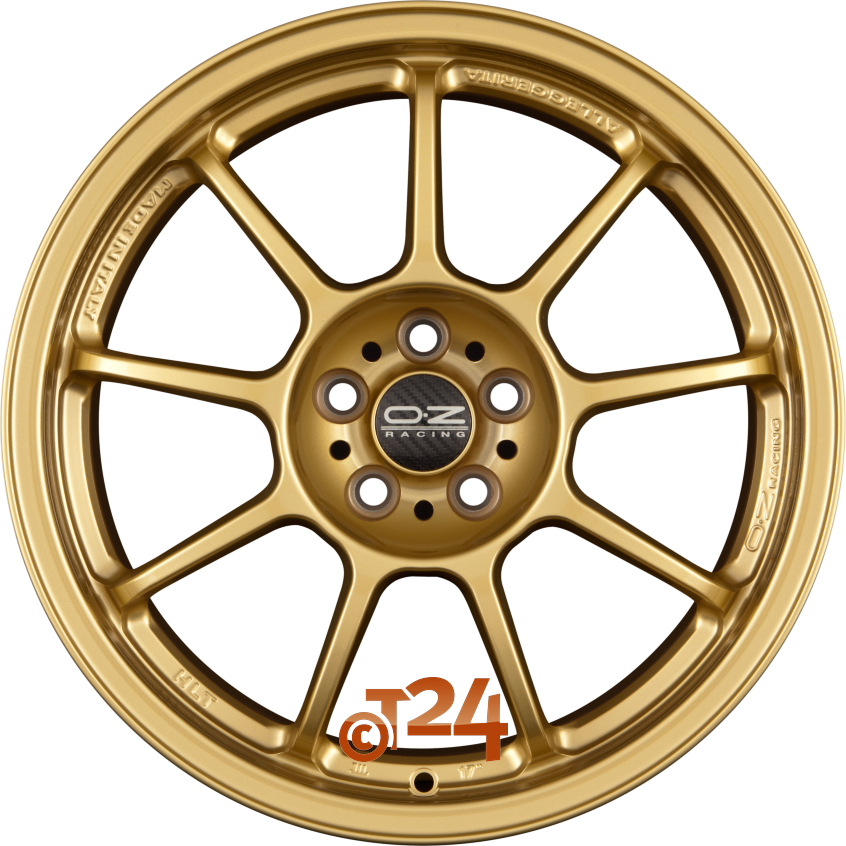 ALLEGGERITA HLT|Race Gold 18