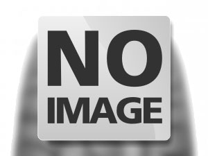ALLIANCE / 480/70 R28 (160 D) <b>373+ AGRIFLEX (R-1W) (R1-W) NRO</b> / Estivo