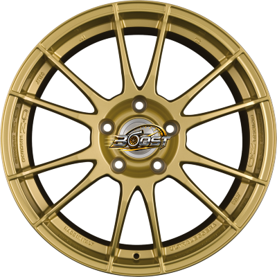 OZ ULTRALEGGERA HLT Race Gold 11.00x19 5x112 OZ ULTRALEGGERA HLT Race Gold 11.00x19 5x112